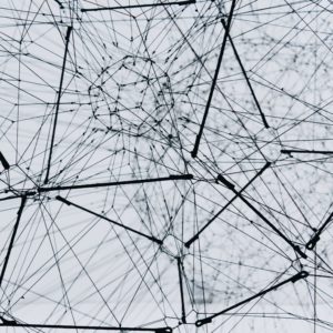 Network visualization by Alina Grubnyak